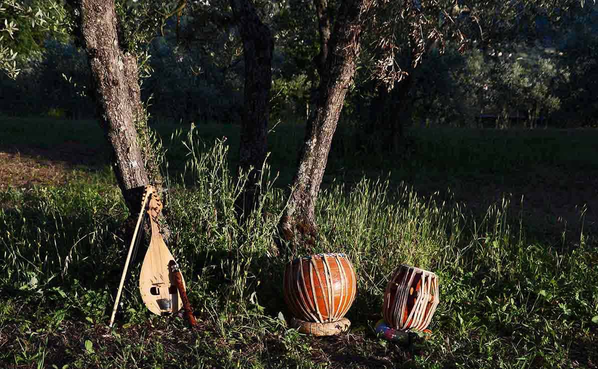 strumenti musicali su campo di ulivi